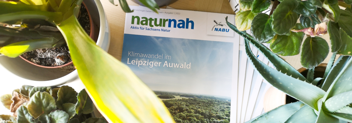 Gerade rein: naturnah – aktiv für Sachsens Natur 01/2022